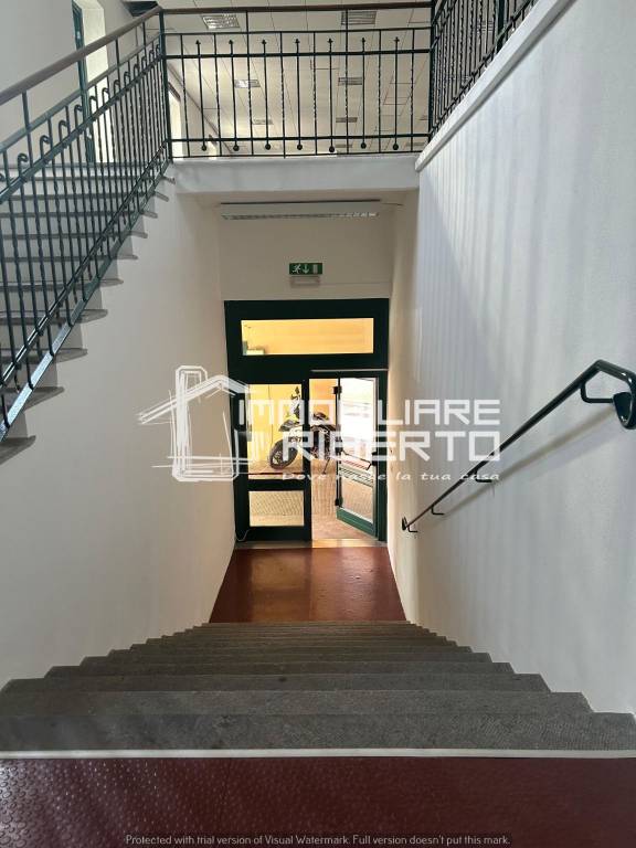 immagine annuncio 12 di 14