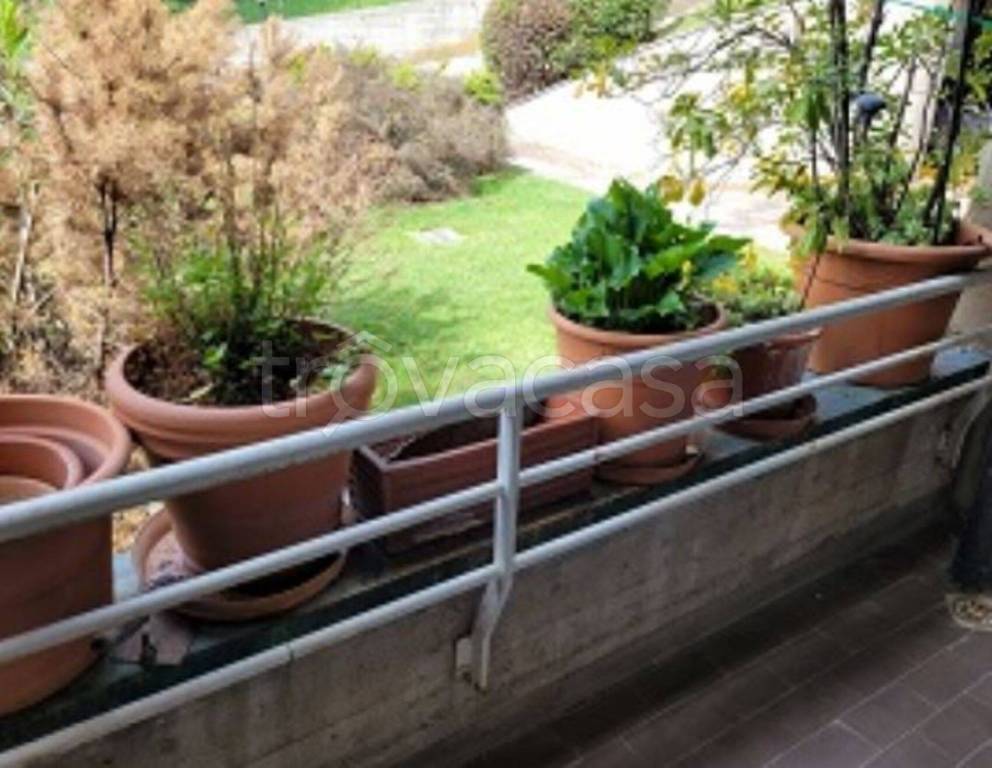 immagine annuncio 4 di 11