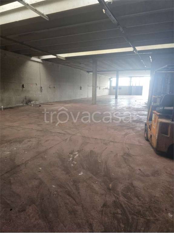 immagine annuncio 2 di 4