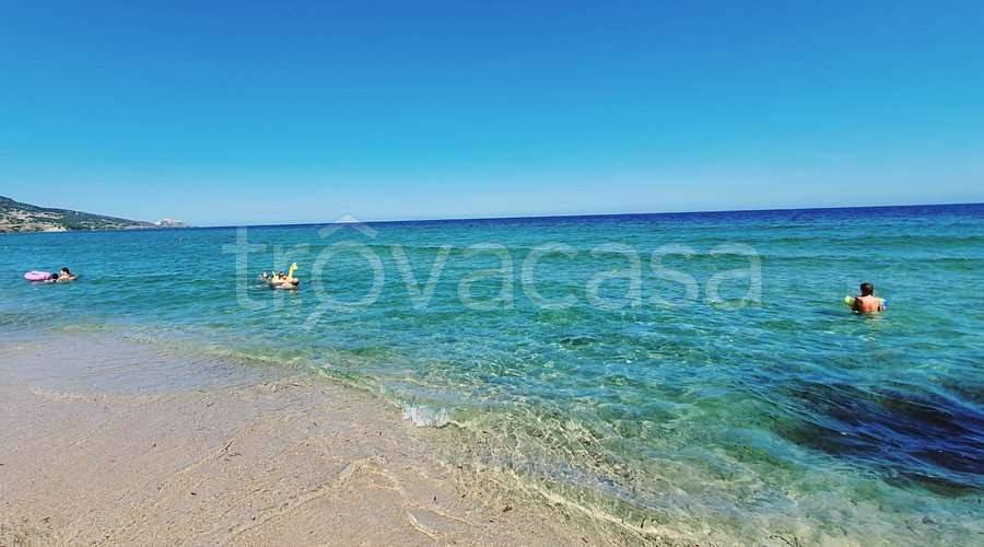 immagine annuncio 11 di 14