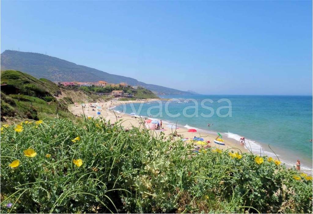 immagine annuncio 12 di 14