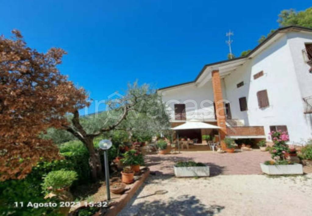 immagine annuncio 2 di 10