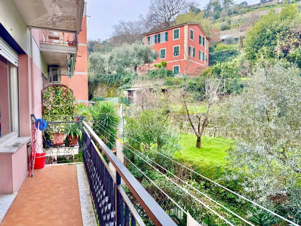 immagine annuncio 11 di 14