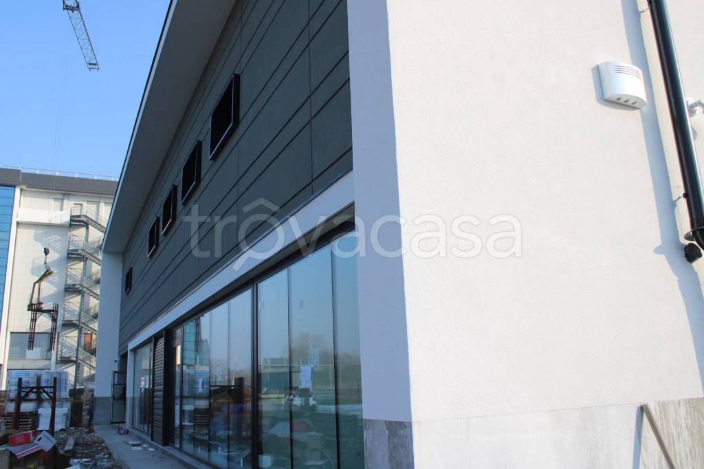 immagine annuncio 7 di 12