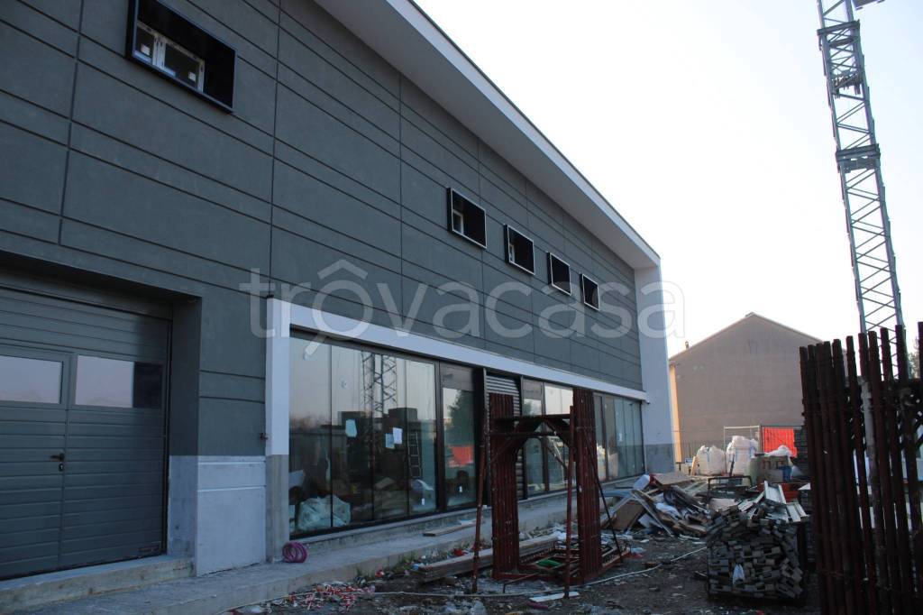 immagine annuncio 8 di 12