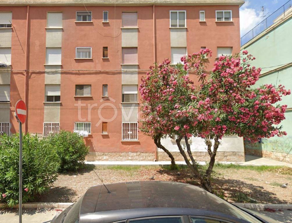 immagine annuncio 10 di 13