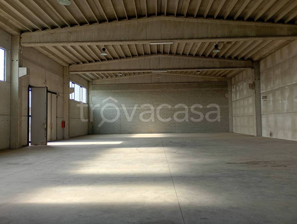 immagine annuncio 2 di 6