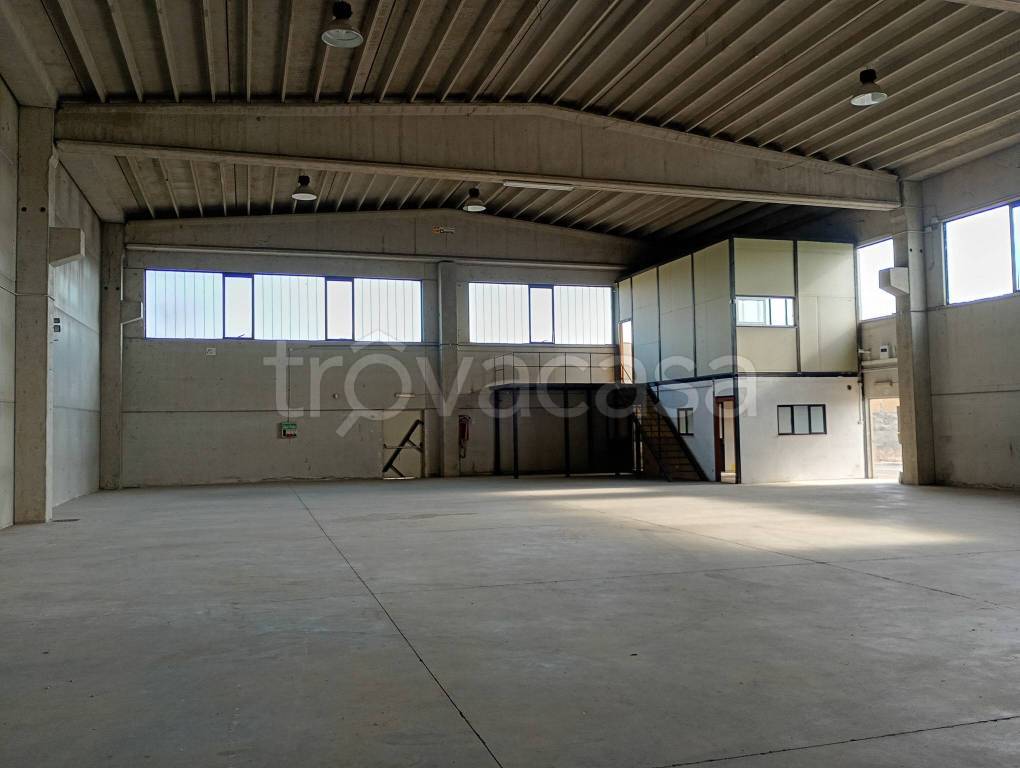 immagine annuncio 4 di 6