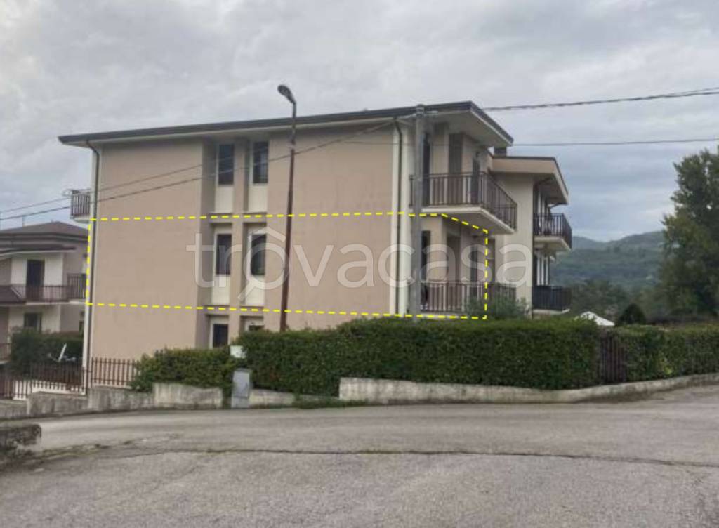 immagine annuncio 3 di 12