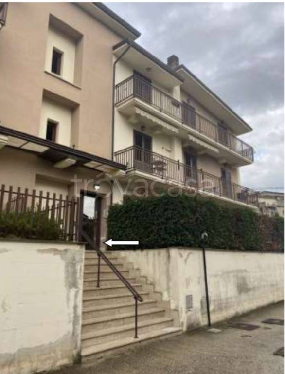 immagine annuncio 4 di 12