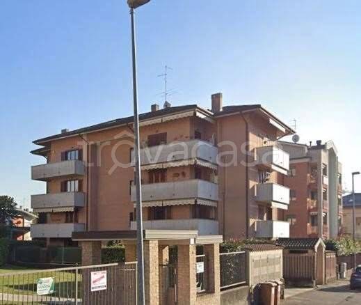 immagine annuncio 10 di 15