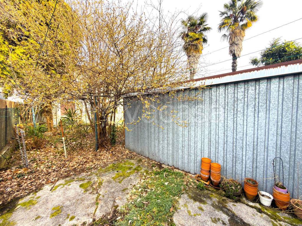 immagine annuncio 12 di 14