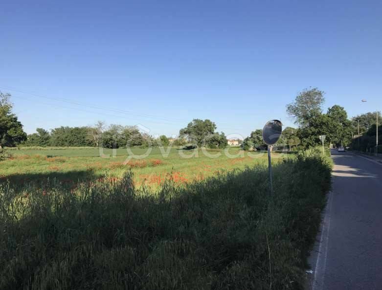 immagine annuncio 2 di 9