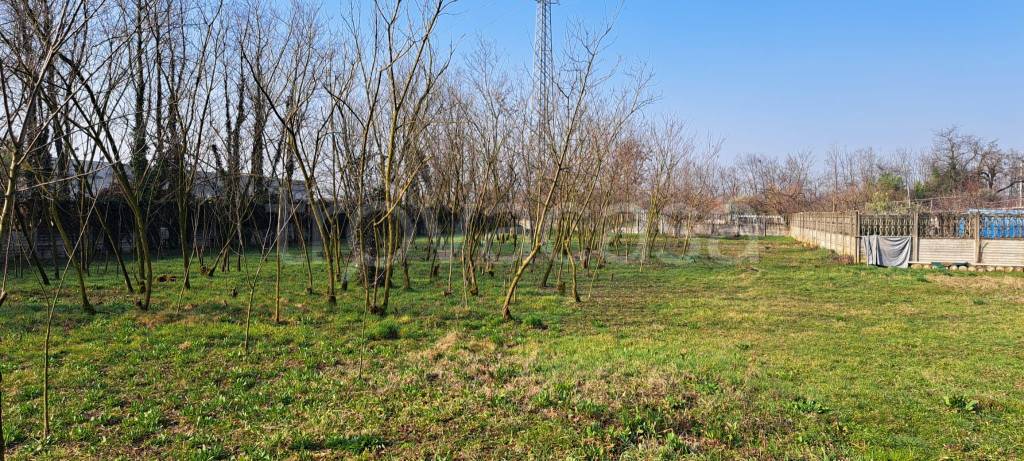 immagine annuncio 2 di 6