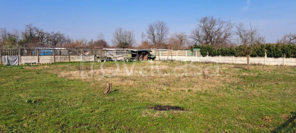 immagine annuncio 4 di 6