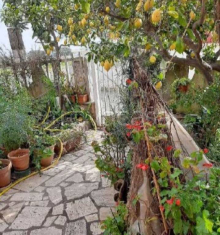 immagine annuncio 8 di 13