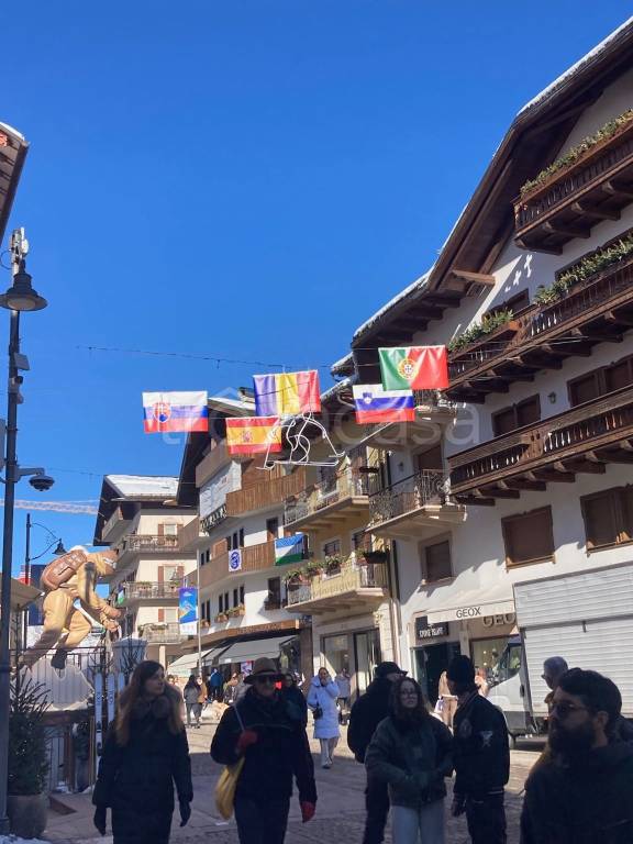 immagine annuncio 6 di 8