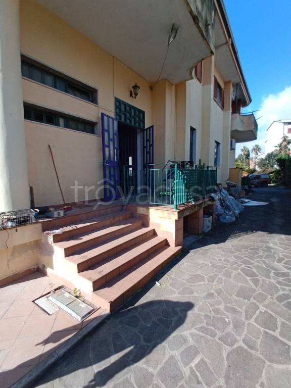 immagine annuncio 9 di 12