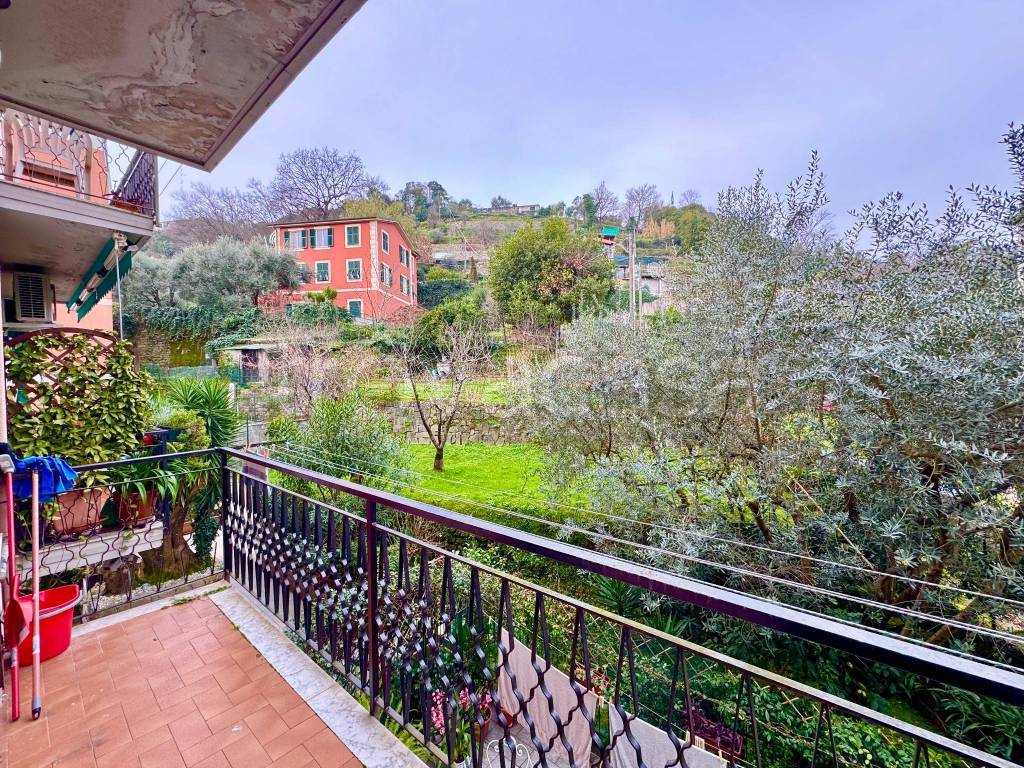 immagine annuncio 5 di 14