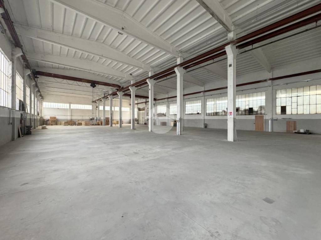 immagine annuncio 3 di 7