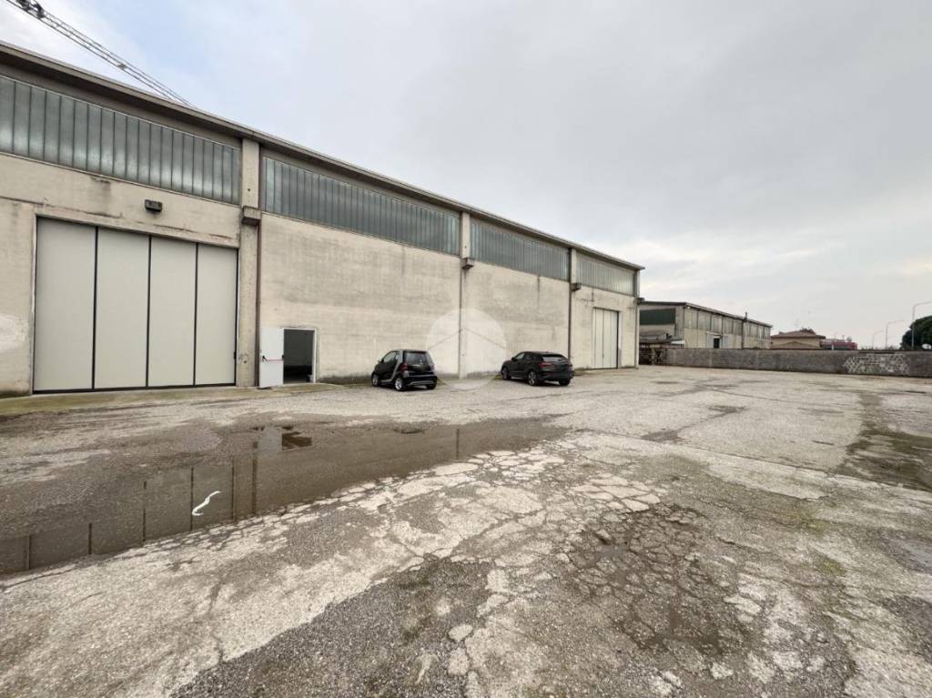 immagine annuncio 5 di 7