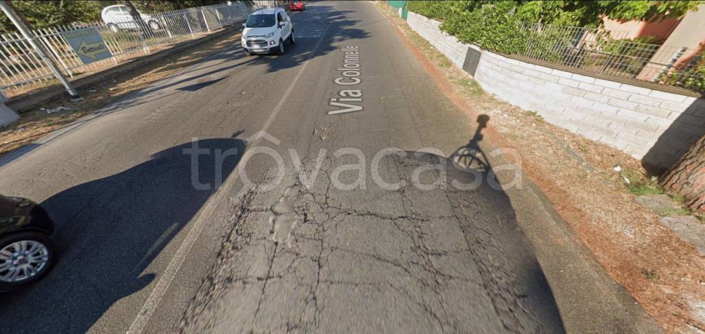 immagine annuncio 5 di 13