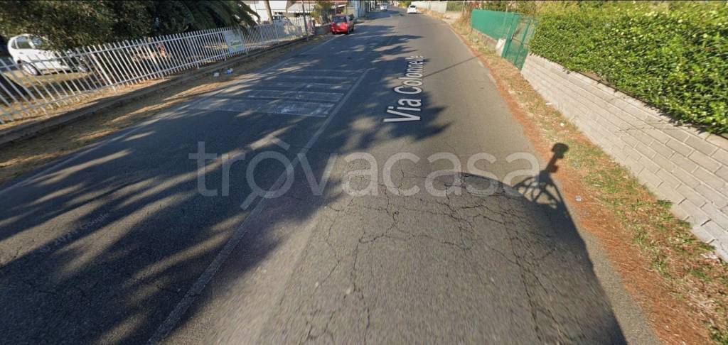 immagine annuncio 7 di 13