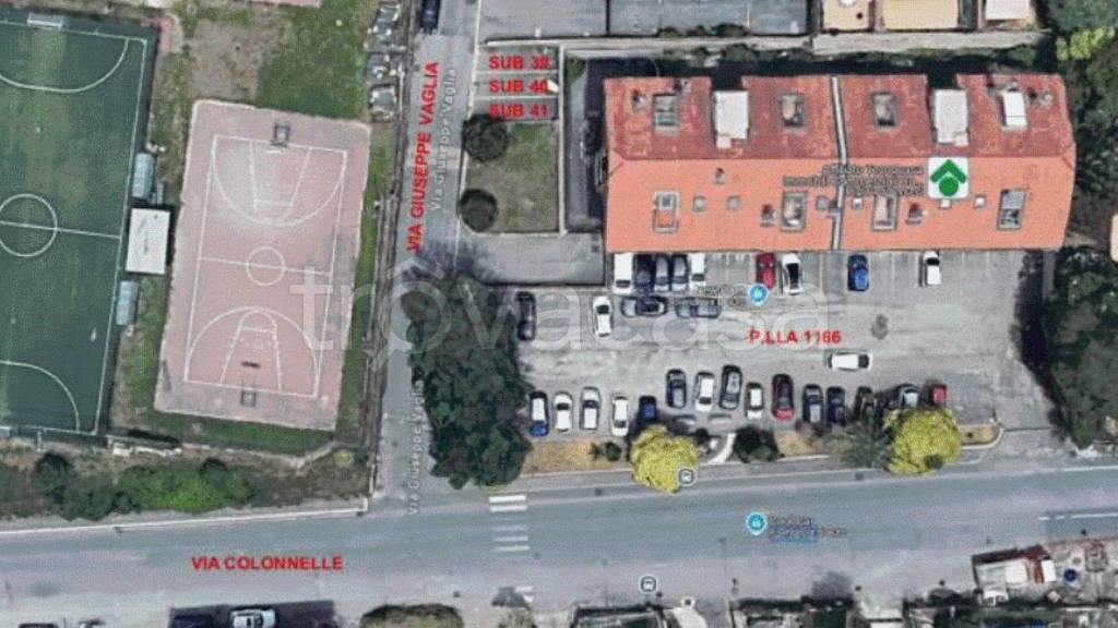 immagine annuncio 12 di 13