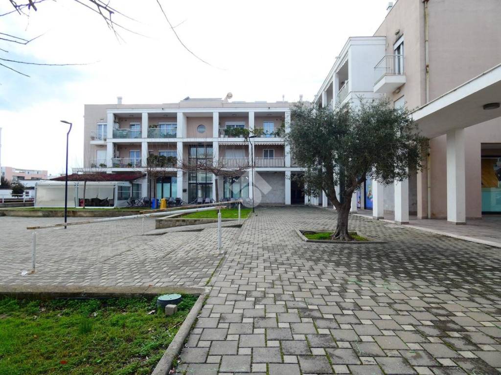 immagine annuncio 2 di 14