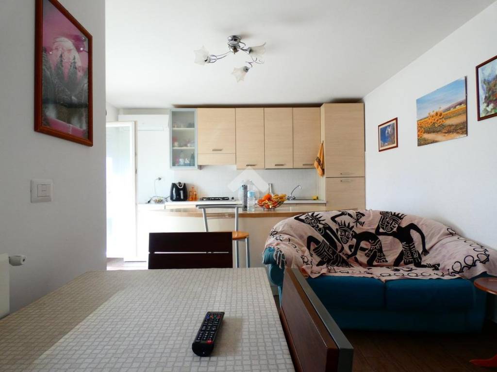 immagine annuncio 5 di 14