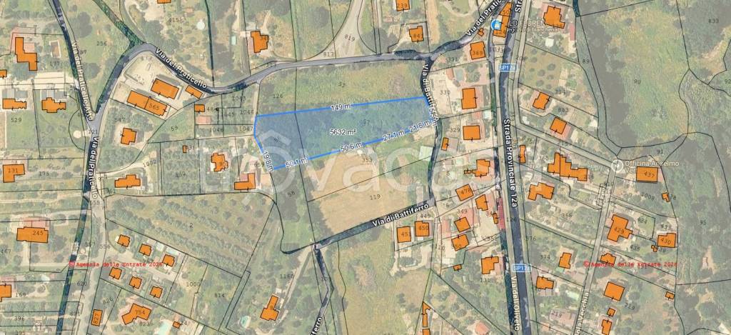 immagine annuncio 3 di 15