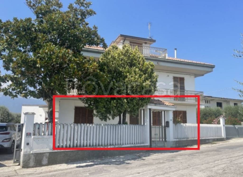 immagine annuncio 3 di 11