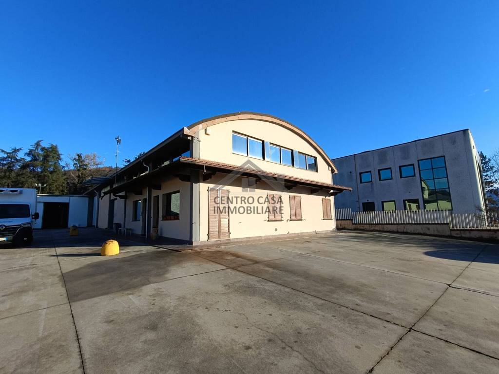 immagine annuncio 9 di 11