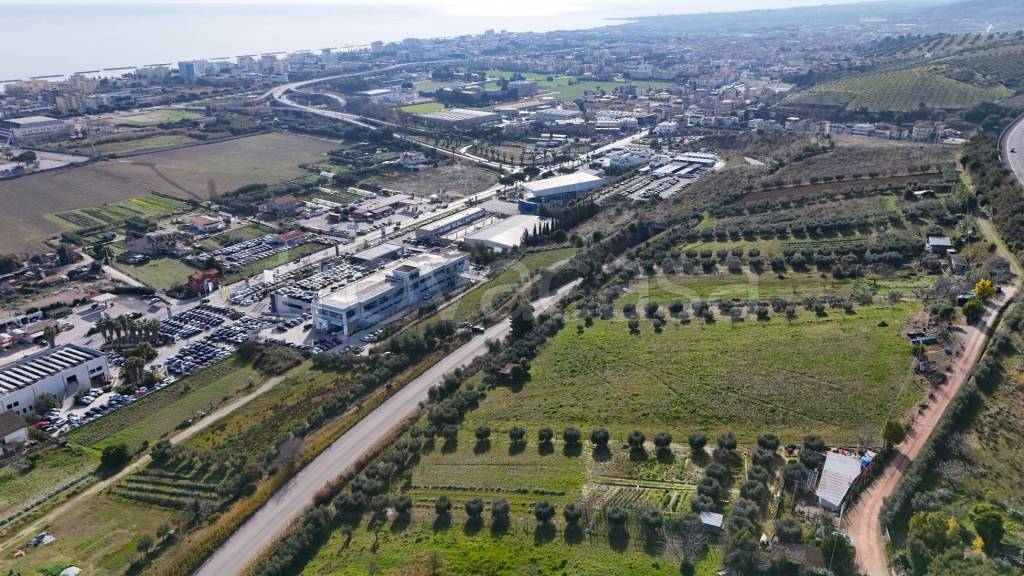 immagine annuncio 5 di 9