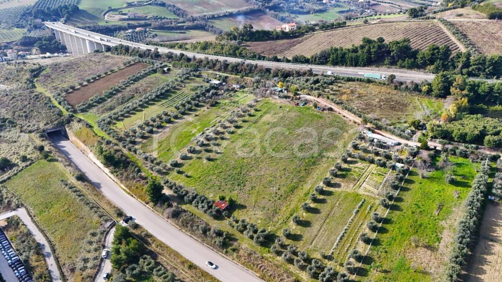 immagine annuncio 7 di 9