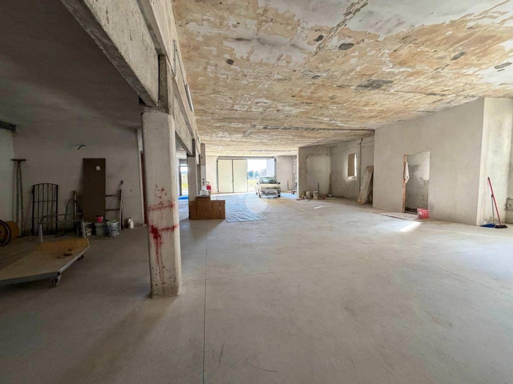 immagine annuncio 4 di 11