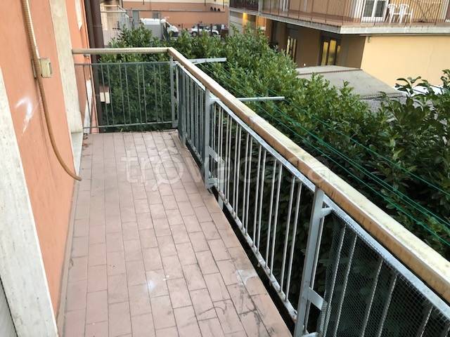 immagine annuncio 5 di 8