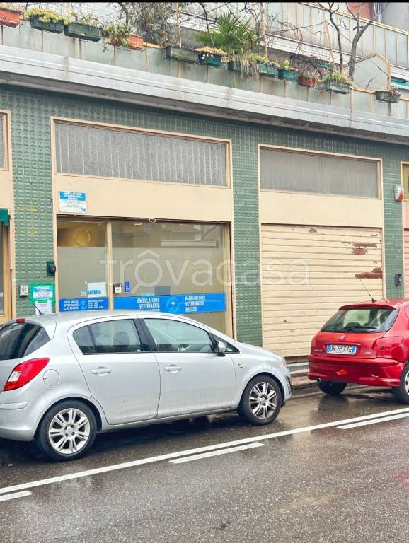 immagine annuncio 1 di 3