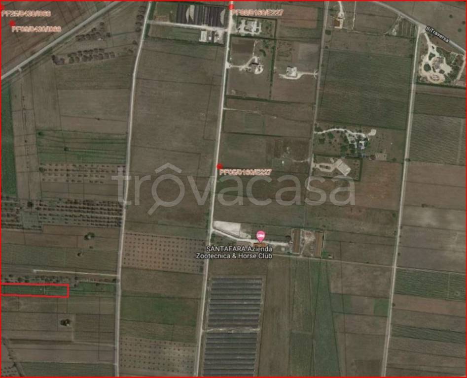 immagine annuncio 11 di 12