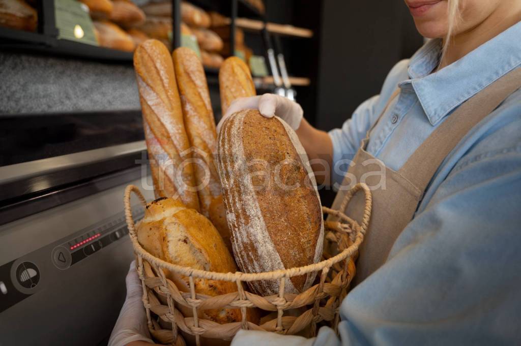 immagine annuncio 2 di 6