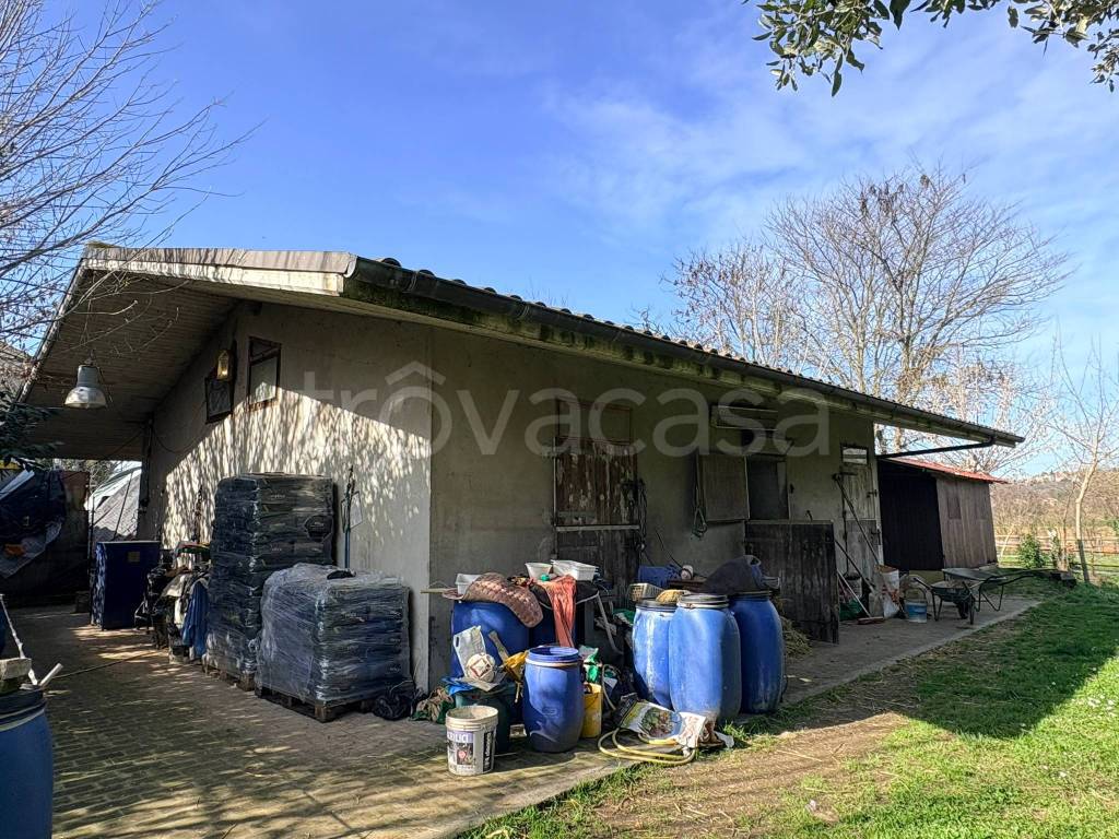 immagine annuncio 1 di 8