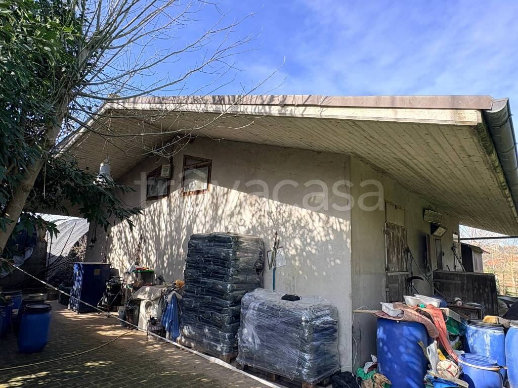 immagine annuncio 2 di 8