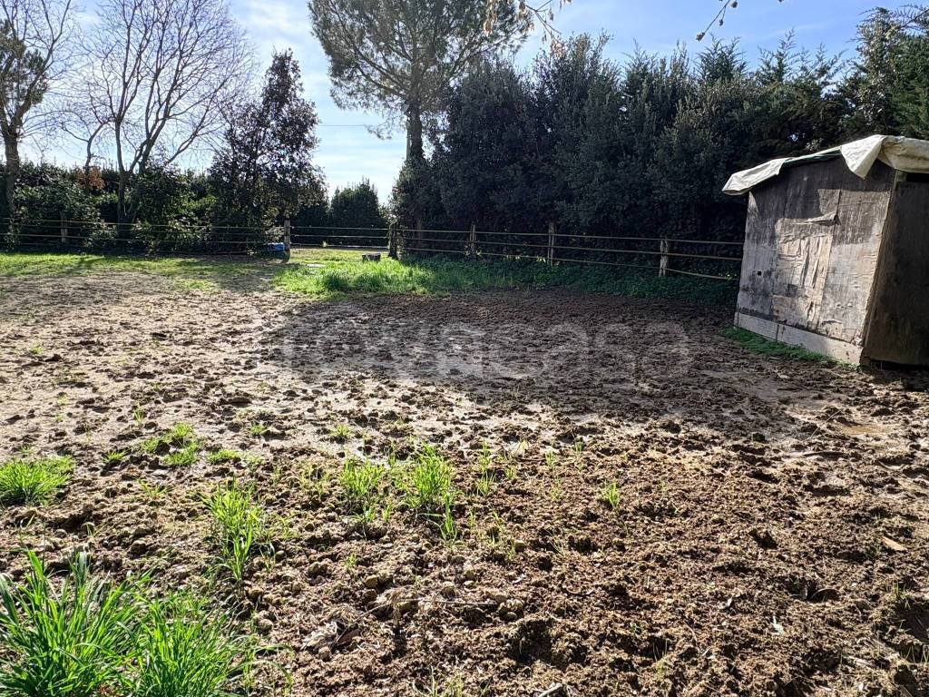 immagine annuncio 4 di 8