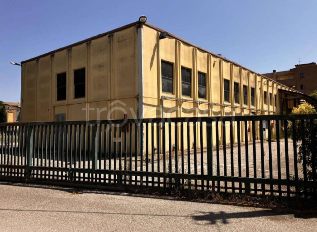 immagine annuncio 3 di 11