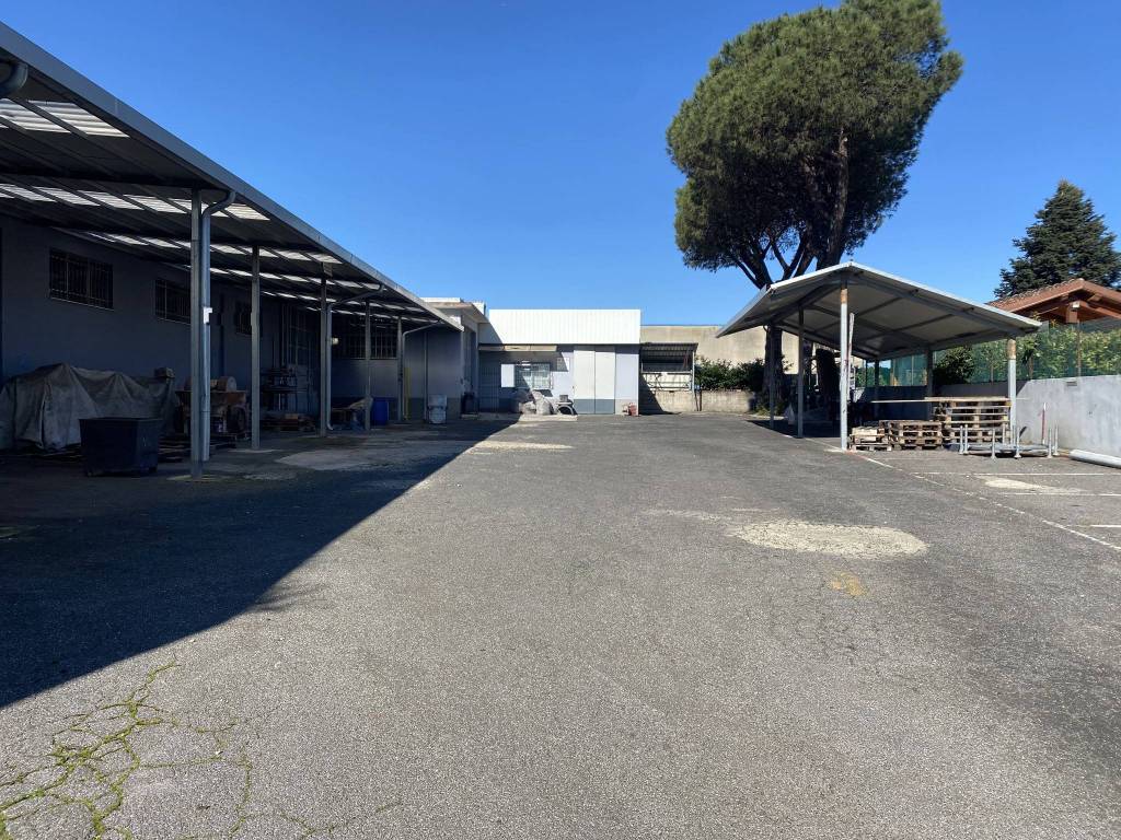 immagine annuncio 1 di 10