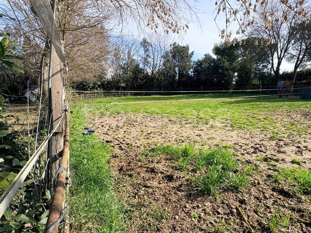 immagine annuncio 6 di 8