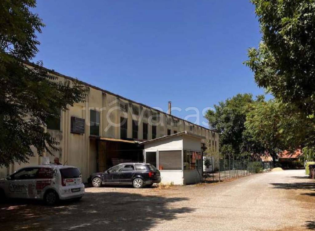 immagine annuncio 5 di 11