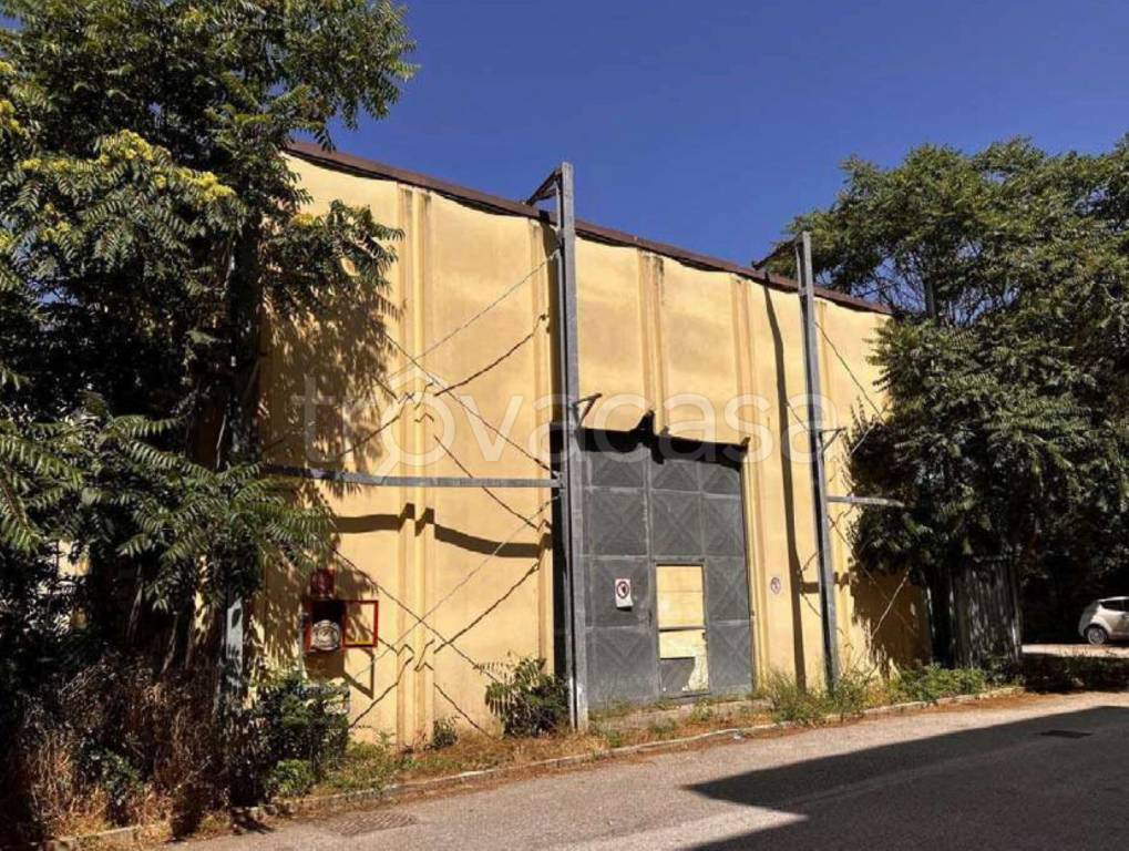 immagine annuncio 6 di 11