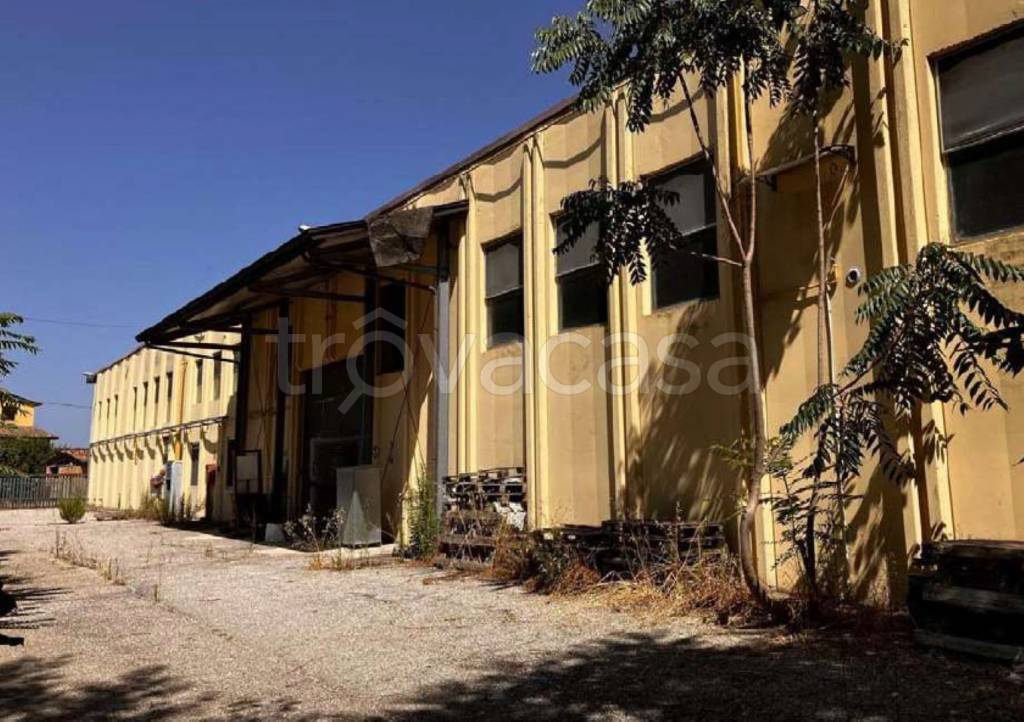 immagine annuncio 7 di 11