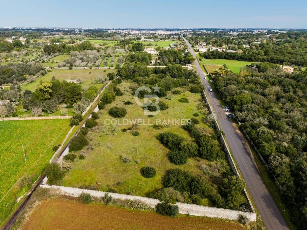 immagine annuncio 4 di 11